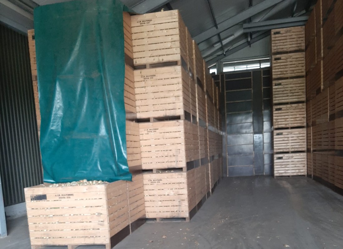 Kisten met aardappelen in de opslagloods van A.J.M. Braspenning