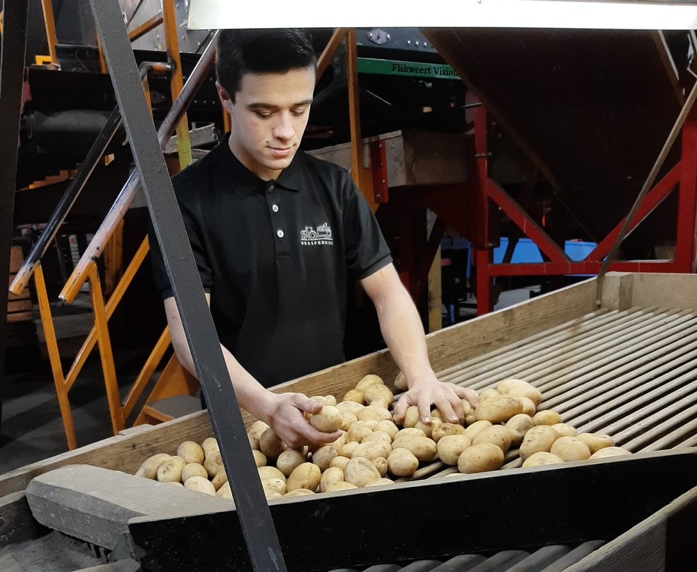 Sorteren van aardappelen op het eigen bedrijf